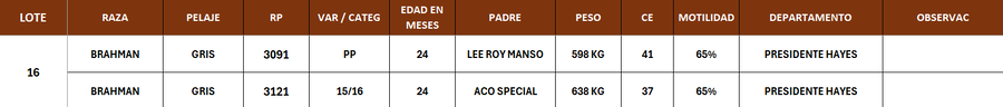 Lote LOTE 16- POR PANTALLA