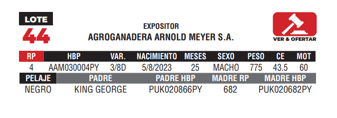 Lote LOTE 44 - CAMPO