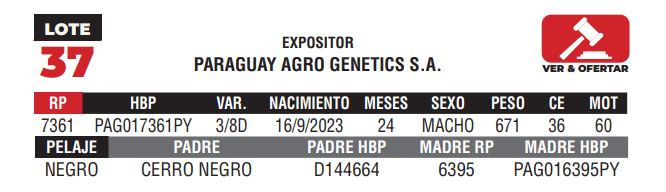 Lote LOTE 37 - CAMPO