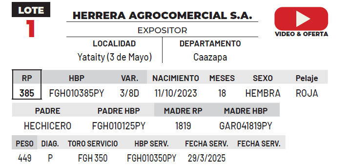 Lote LOTE 1