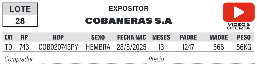 Lote LOTE 28