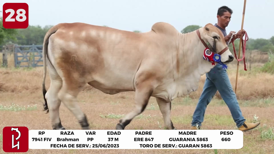 Lote LOTE 28 de BOZAL