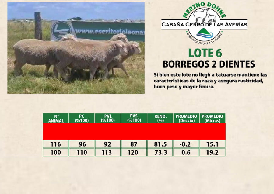 Lote LOTE 6
