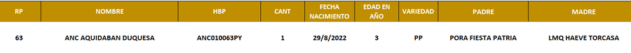 Lote LOTE 10