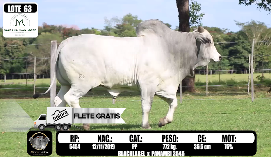 Lote LOTE  63-RP 5454