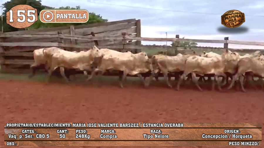 Lote LOTE 155 - PANTALLA