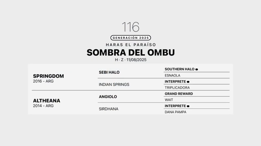 Lote SOMBRA DEL OMBU