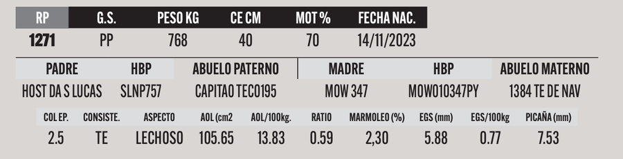 Lote LOTE 40