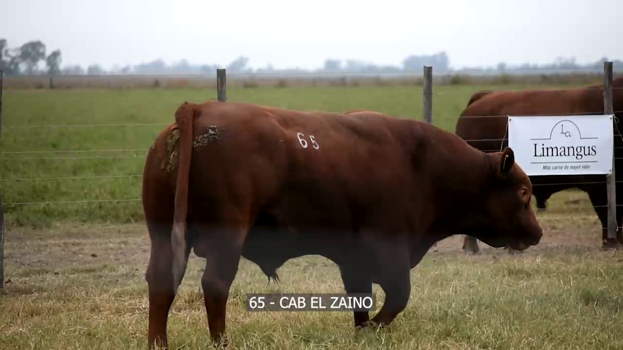 Lote RP 42-65 EL ZAINO