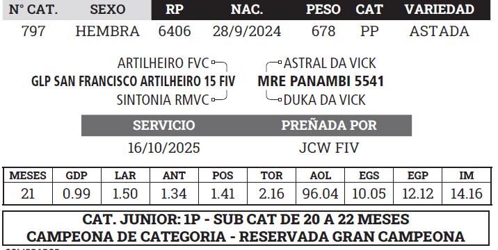 Lote LOTE 11 - BOZAL