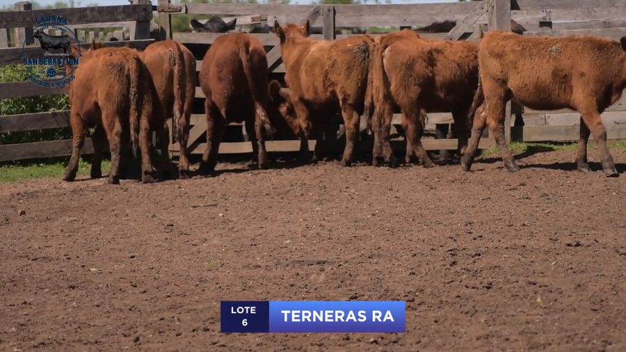 Lote Lote 6 - San Sebastian