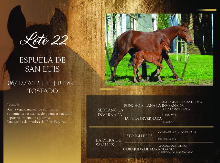 Lote RP 89 - ESPUELA DE SAN LUIS