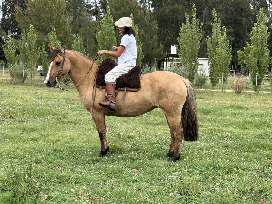 Lote HORTENCIA TACURU