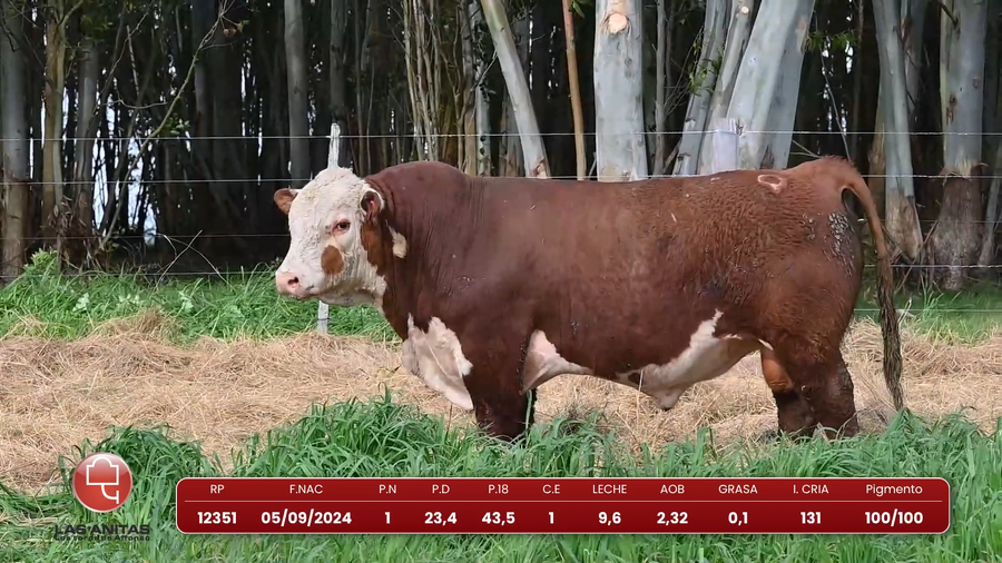 Lote Lote 9