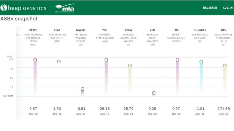 Lote Carnero TOP A, 18-0089