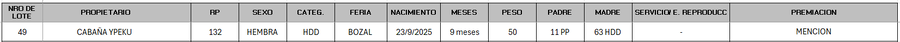 Lote LOTE 49 - BOZAL