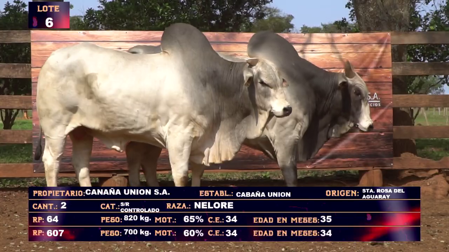 Lote CABAÑA UNION S.A - LOTE 6