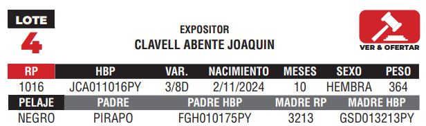 Lote LOTE 4 - JUNIOR