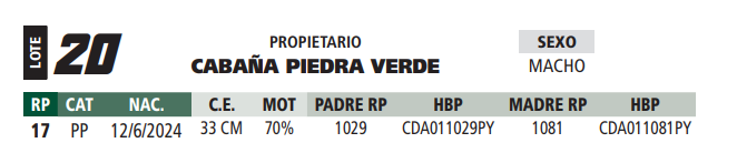 Lote LOTE 20