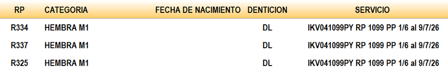 Lote LOTE 25