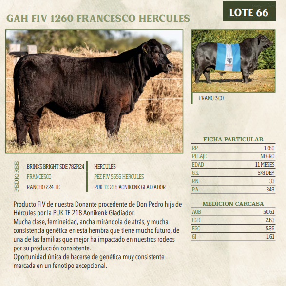 Lote LOTE 66