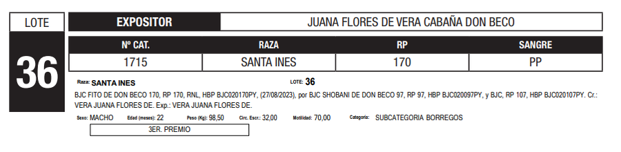 Lote LOTE 36