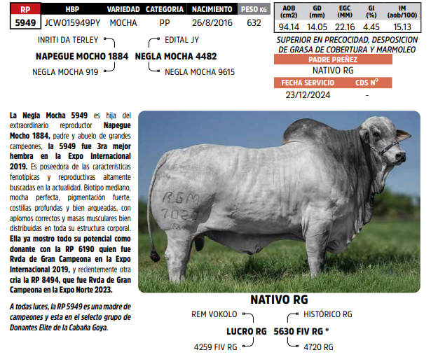Lote LOTE 47