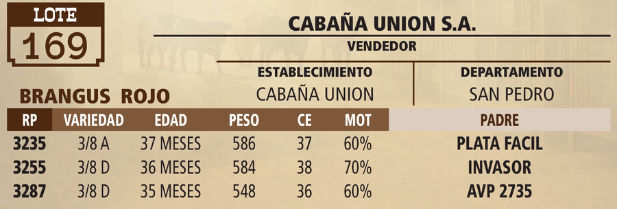 Lote LOTE 169 - PANTALLA