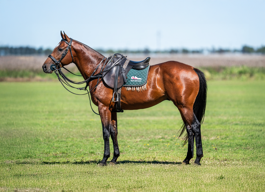 Lote DON ERCOLE PAULO