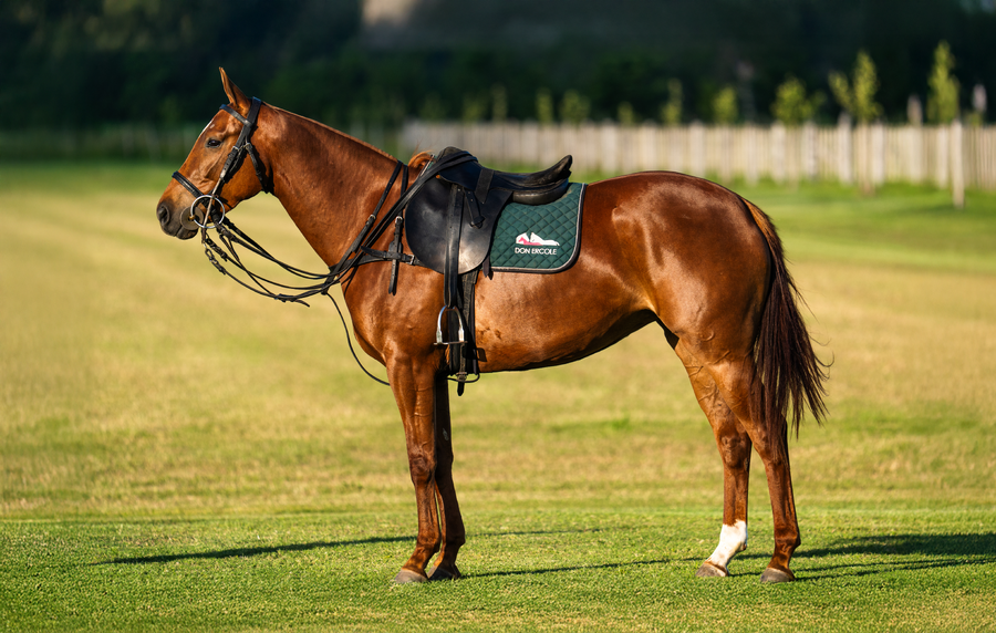 Lote DON ERCOLE CROSSOVER