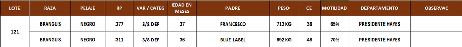 Lote LOTE 121