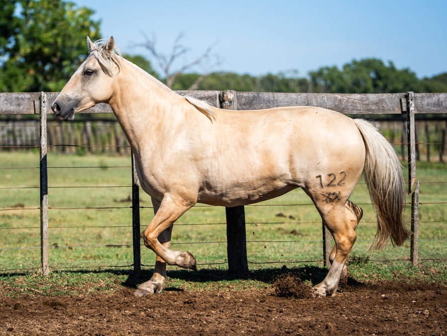 Lote DEL SIETE CUANTO PIDE