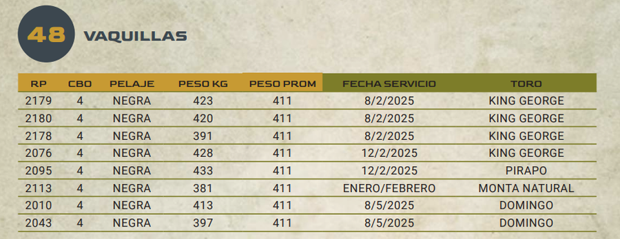 Lote LOTE 48