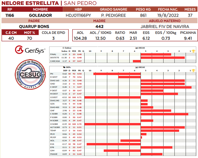 Lote LOTE 75