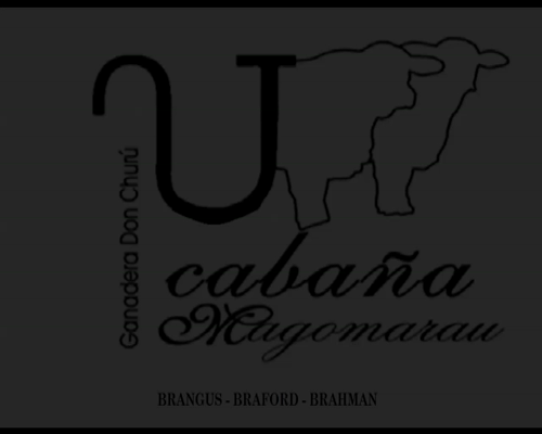 Lote MAGOMARAU 1199 S