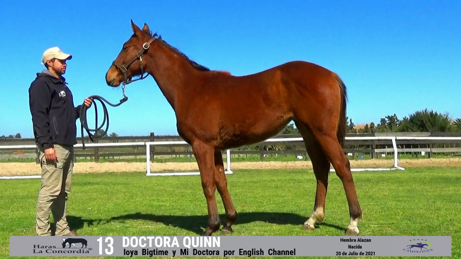 Lote DOCTORA QUINN