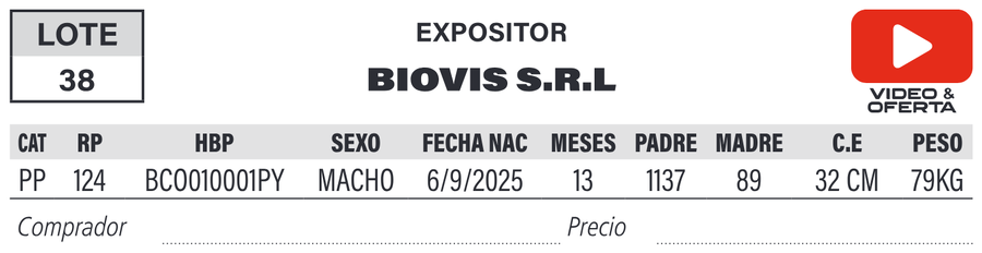 Lote LOTE 38