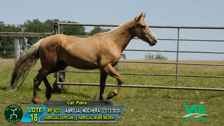 Lote ABROJAL NOCHERA