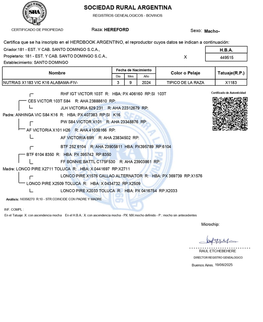 Lote Terneros PP
