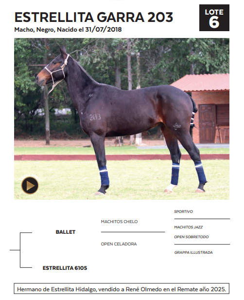 Lote LOTE 6