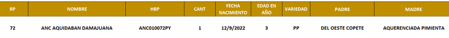 Lote LOTE 9