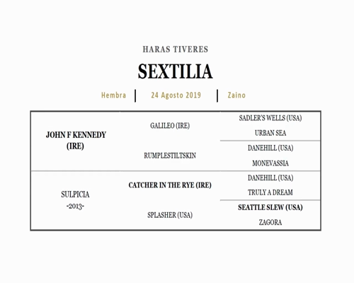 Lote RE RELAXING (REMOTE - WAKING UP)