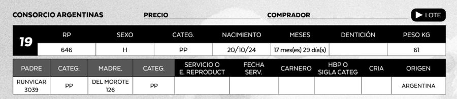 Lote LOTE 19