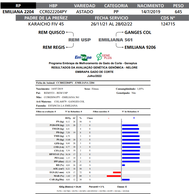 Lote LOTE 45-  RP E 2204