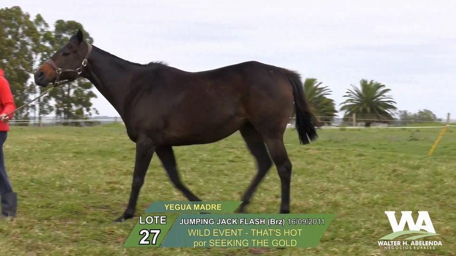 Lote JUMPING JACK FLASH (Brz)