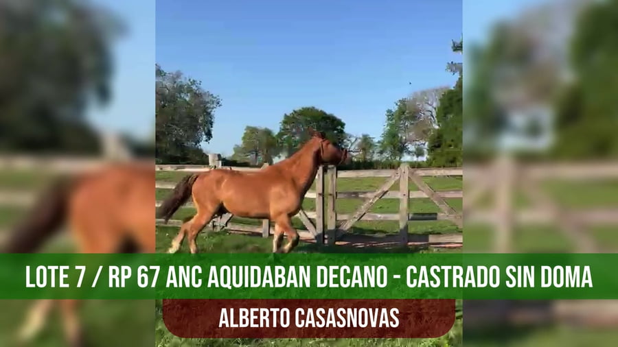 Lote ANC AQUIDABAN DECANO