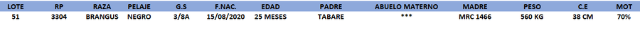 Lote LOTE 51