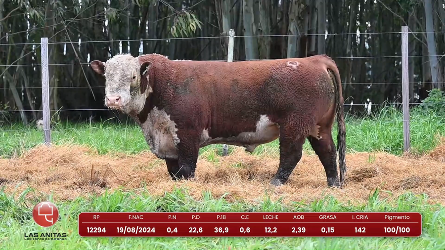 Lote Lote 28