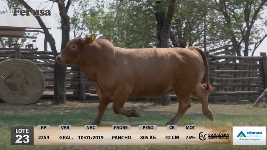 Lote Ganadera Santa Cecilia - Lote 23