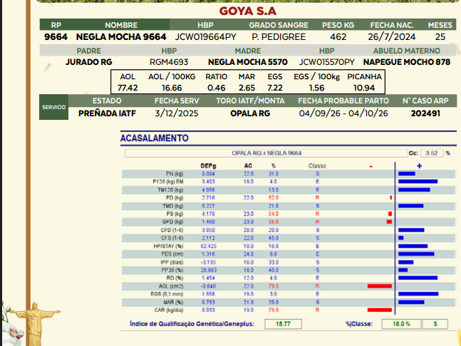 Lote LOTE 35